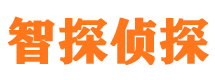 两当侦探公司